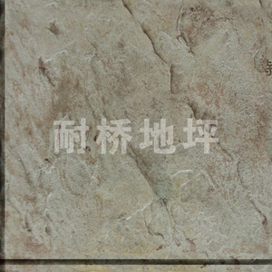 YS010