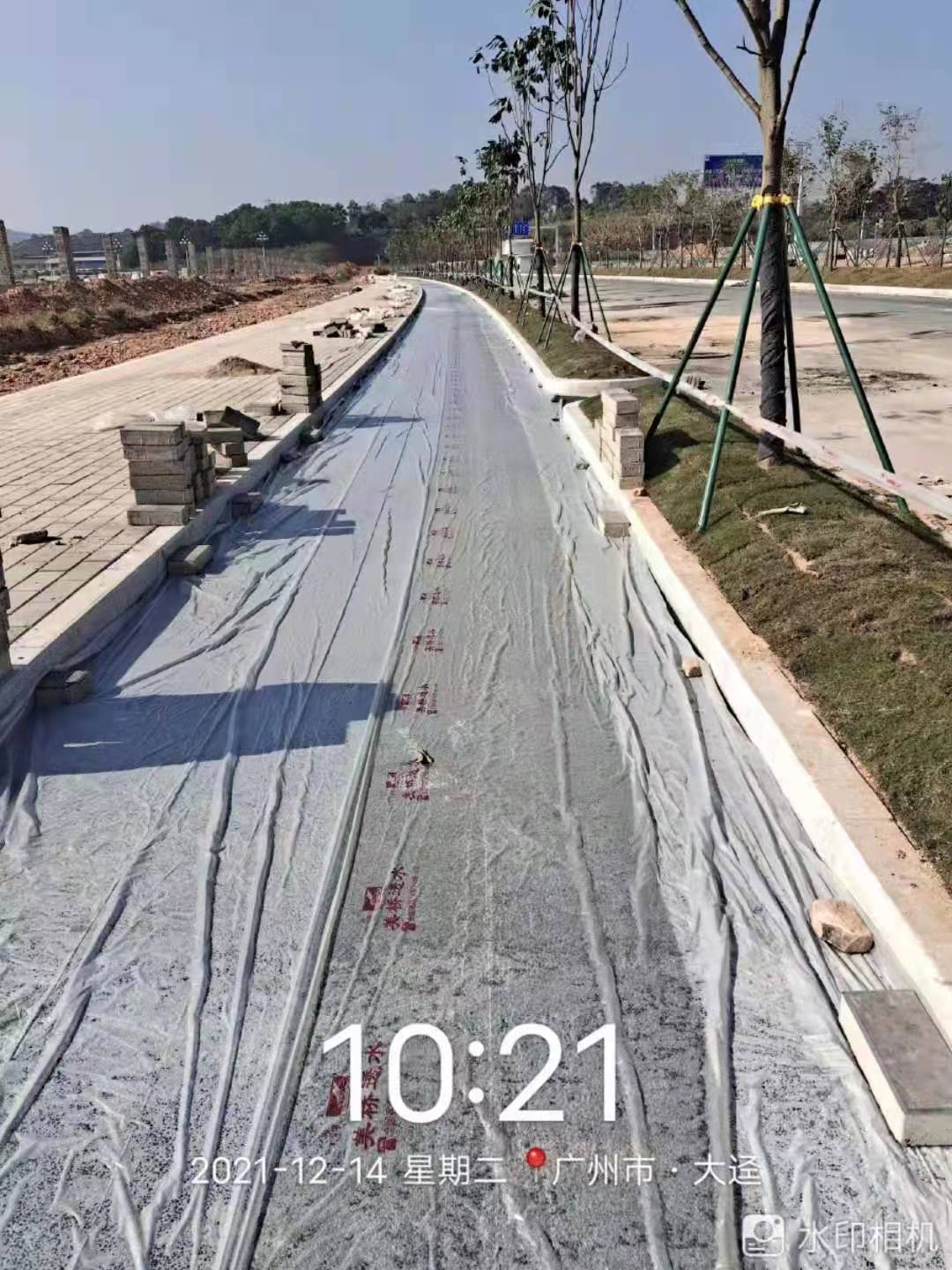 13116.jpg